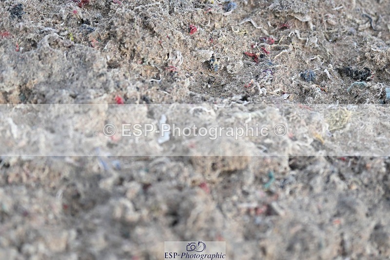 250125-111707-00313 - Dressage - CT Class 5 BE95 (90cm)