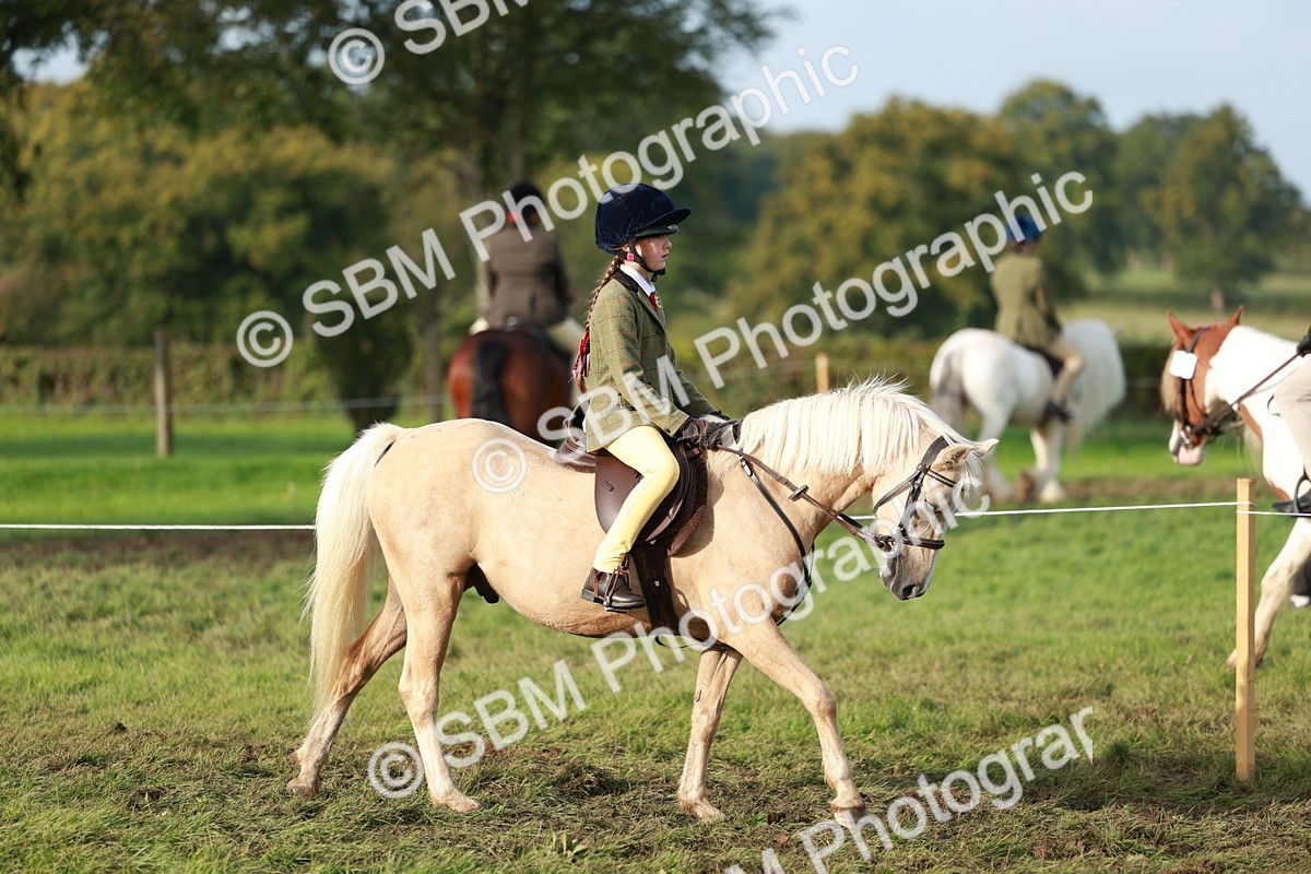 SBM_56261 - S39 - Starters In Hand Showing
