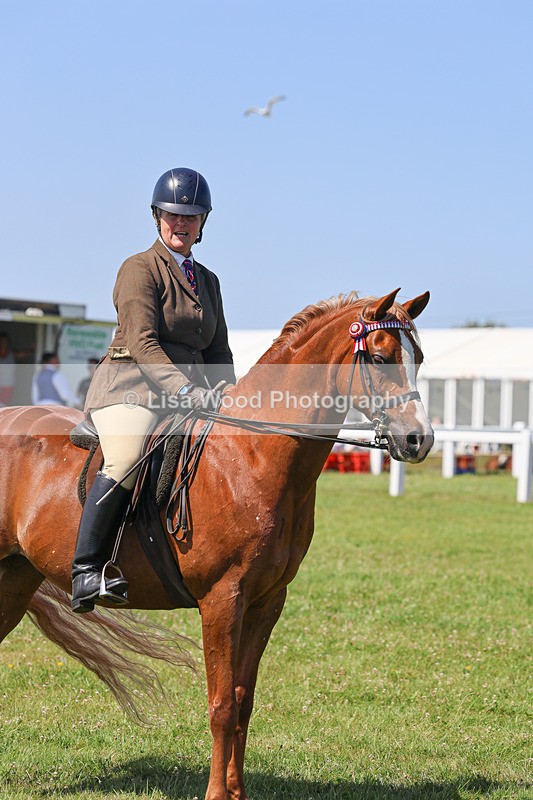 IMG_2233 - Class 37: Pure, Anglo & Part Bred Ridden Arab