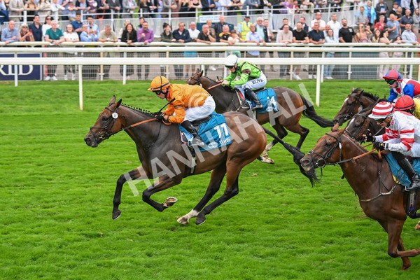 080925-Race 7-Canvas-7862 - Race 7 5.30pm Sky Bet, For The Fans Mile Apprentice Handicap