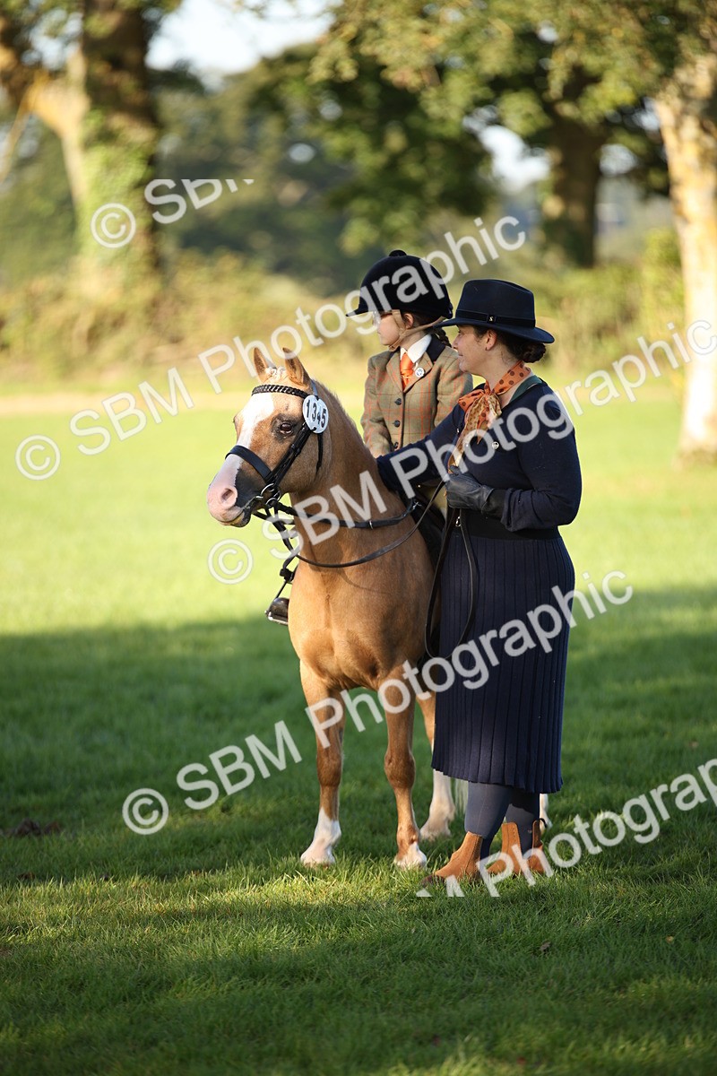 SBM_34259 - S9 - Lead Rein Equitation