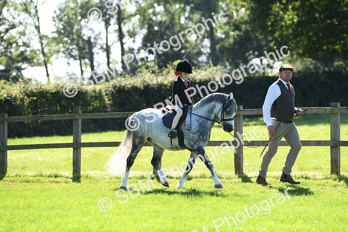 SBM_39511 - S18 - Novice & Newcomers Lead Rein Pony