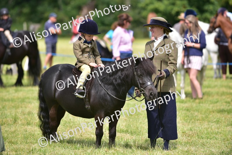 20260614-1215 - Class 11a - Lead Rein Pony (Unplaited)