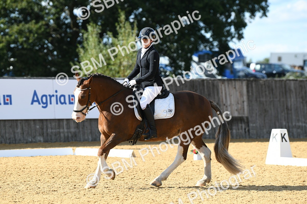 SBM_27113 - D16 - Small Tour Championship - Novice 28