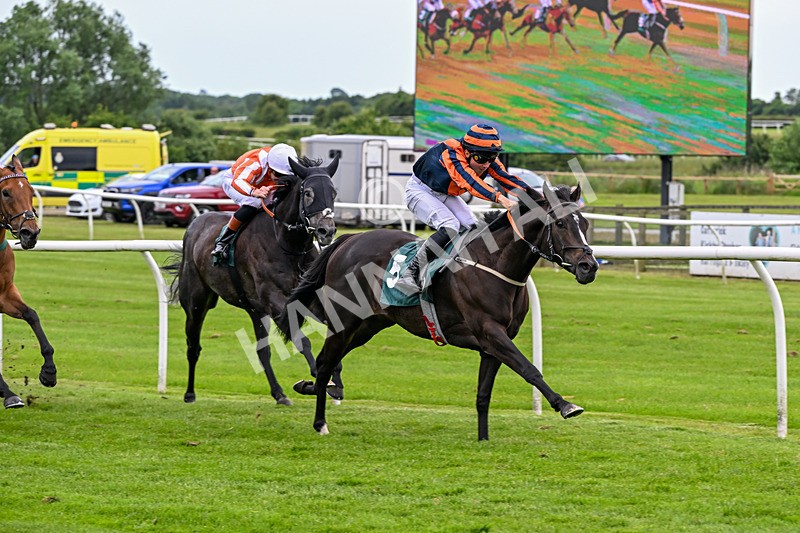 220626-Race 6-War Memorial-9564 - Race 6 17.10pm Racing Again 8th July Handicap