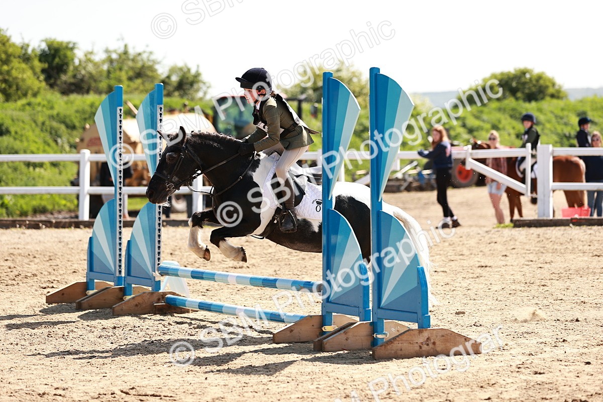 SBM_006920 - Class 2 - 50cm