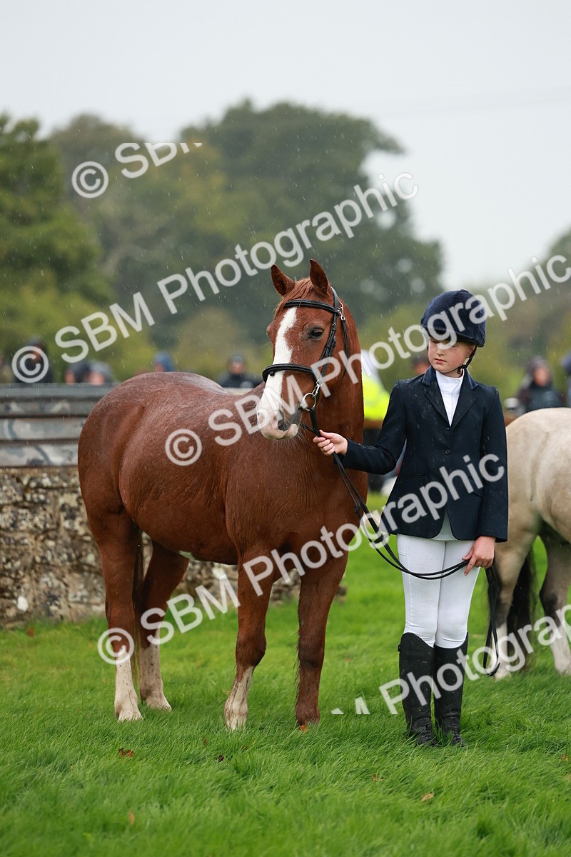 SBM_34913 - S10 - Best In Hand Horse & Pony