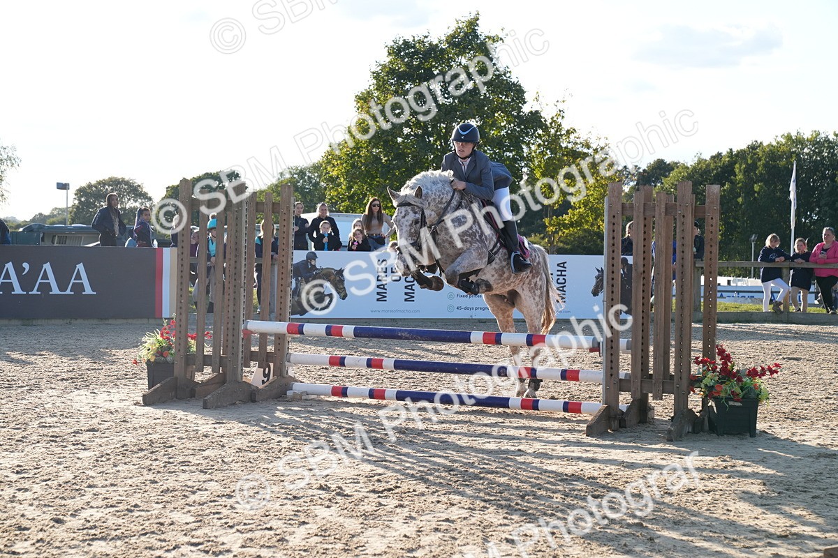 SBM_29995 - J44 - Super Speedy Scurry Open - 70cm