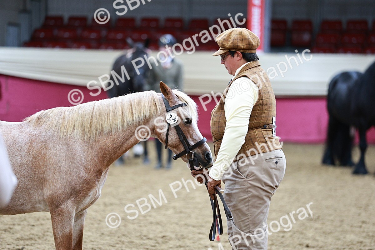SBM_00955 - Class 2A - Area IH Veteran