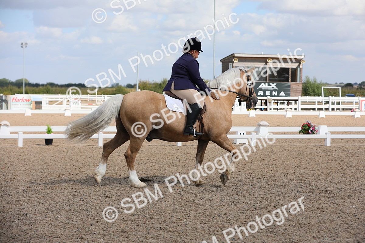 SBM_04050 - Class 31 Prelim 1