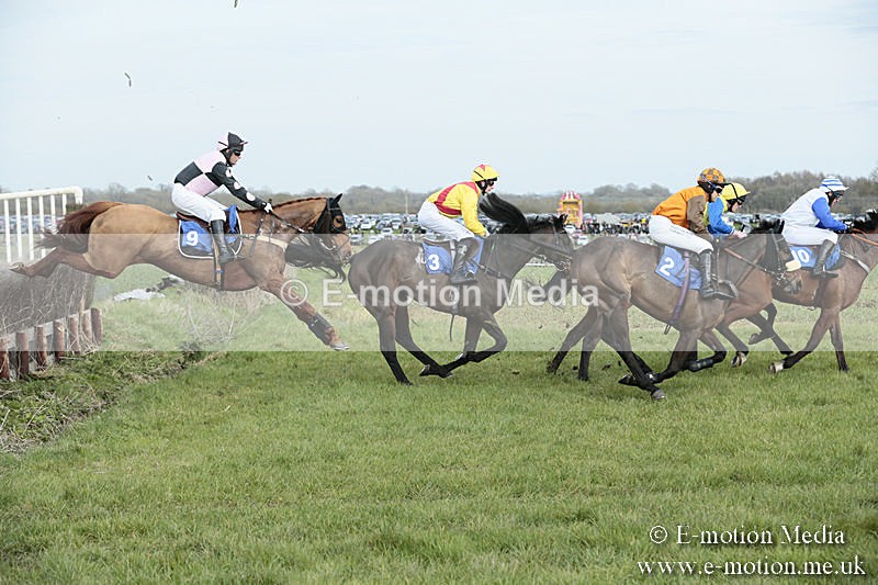 PtP 230319 264 - VWH Hunt Siddington Point-to-Point Racing 23/03/19
