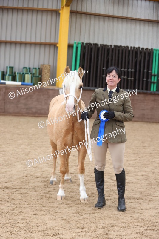 20251109-0864 - Class 25 - Yearling, Colt, Filly or Gelding