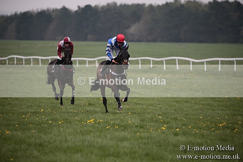 PtP 210418 64 - South & West Wilts Point-to-Point Larkhill 21/04/18