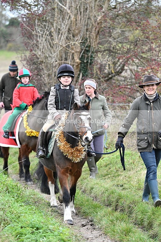 WJ7_0942 - First Seen