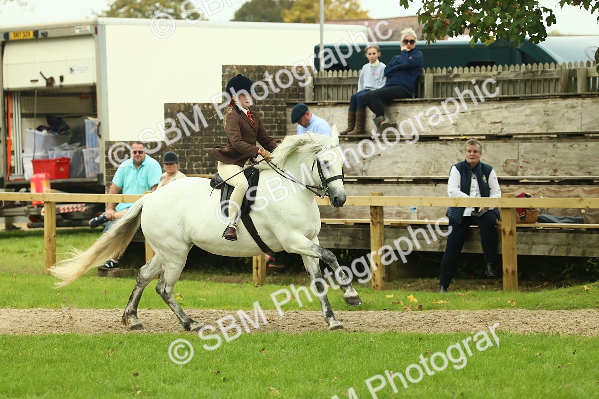 SBM_72024 - S60 - Mountain & Moorland Ridden Large Breeds
