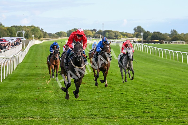 021024-Race 6-Redrosezorro-9650 - Race 6