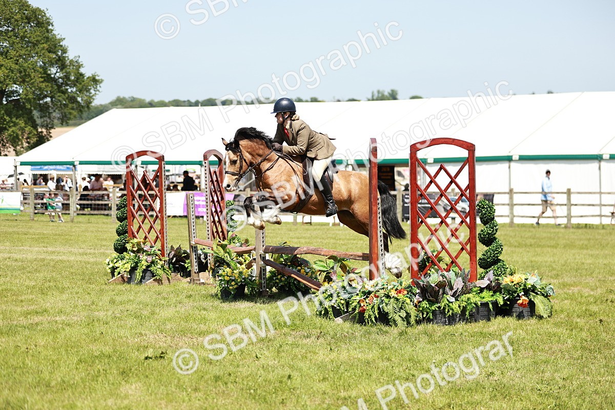 SBM_16345 - Class 110-111 - Training Stakes (70cms 80cms)