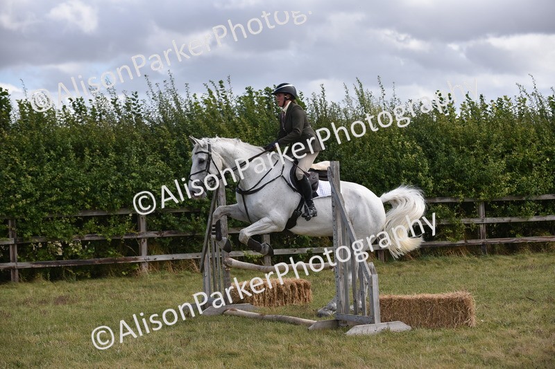 20250831-4111 - Class 13 - Working Hunter Horse or Pony