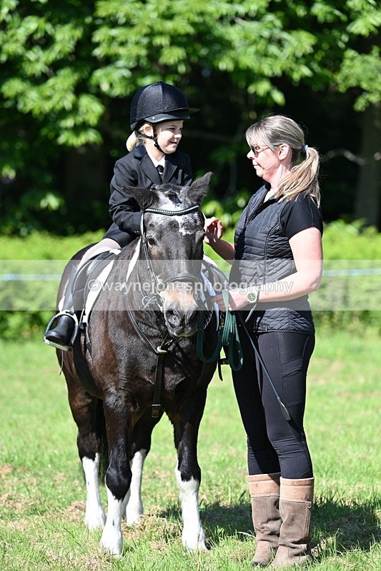 WJ7_0476 - Class 8 First Rally Pony