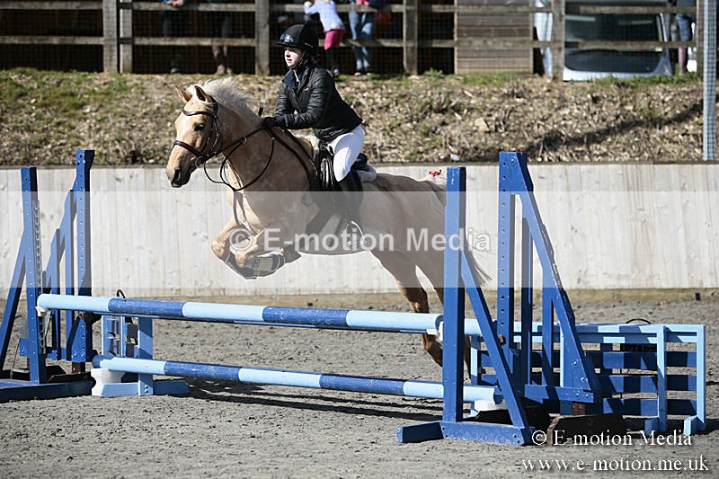 BVRC SJ 170319 257 - Bourne Valley Riding Club Showjumping 17/03/19