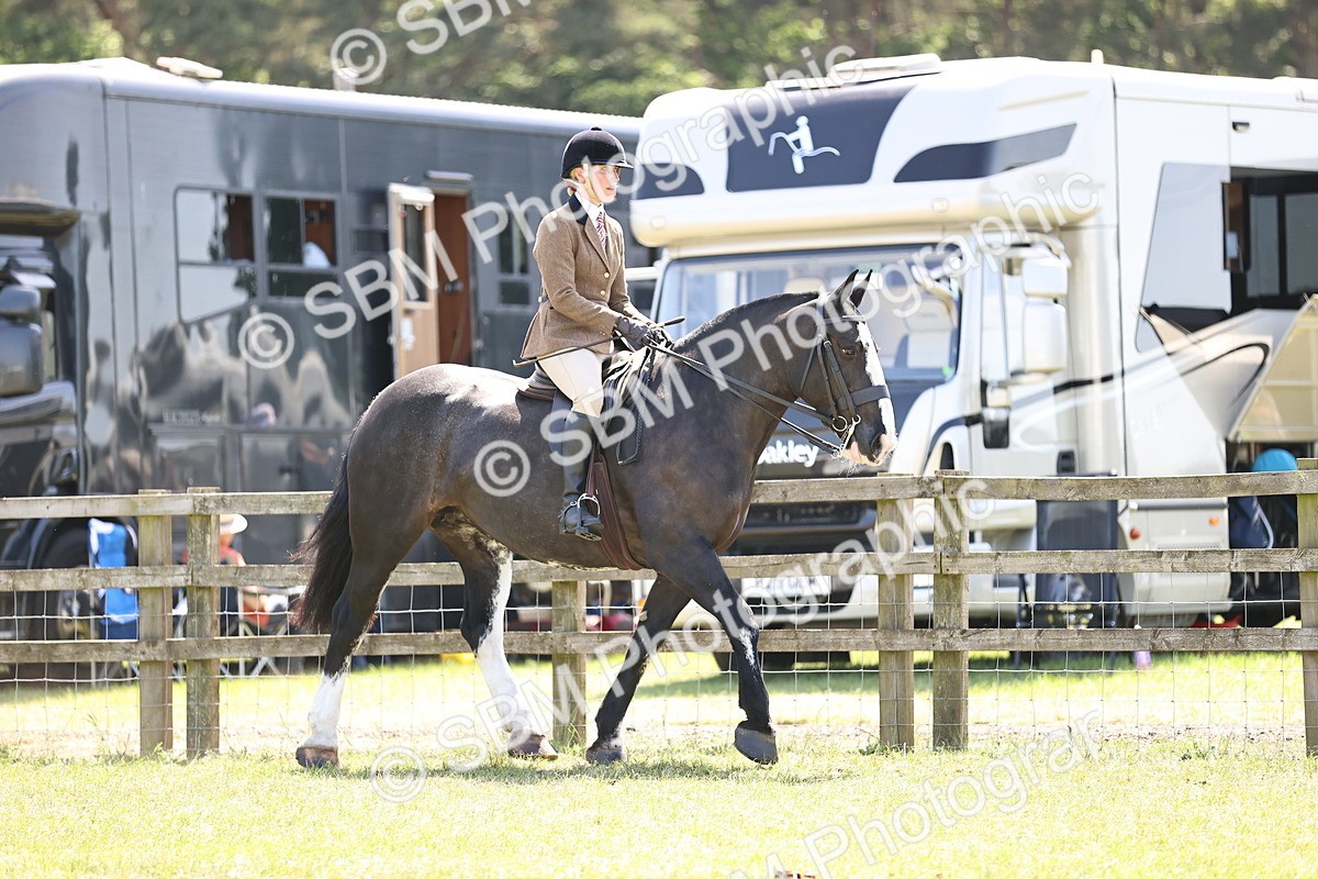 SBM_17809 - Class 81-83 - TSR Ridden Amateur of the Year - Horses