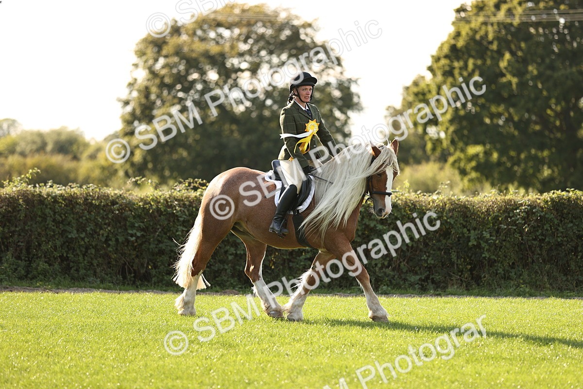 SBM_26510 - S6 - Novice & Newcomers Ridden Horse