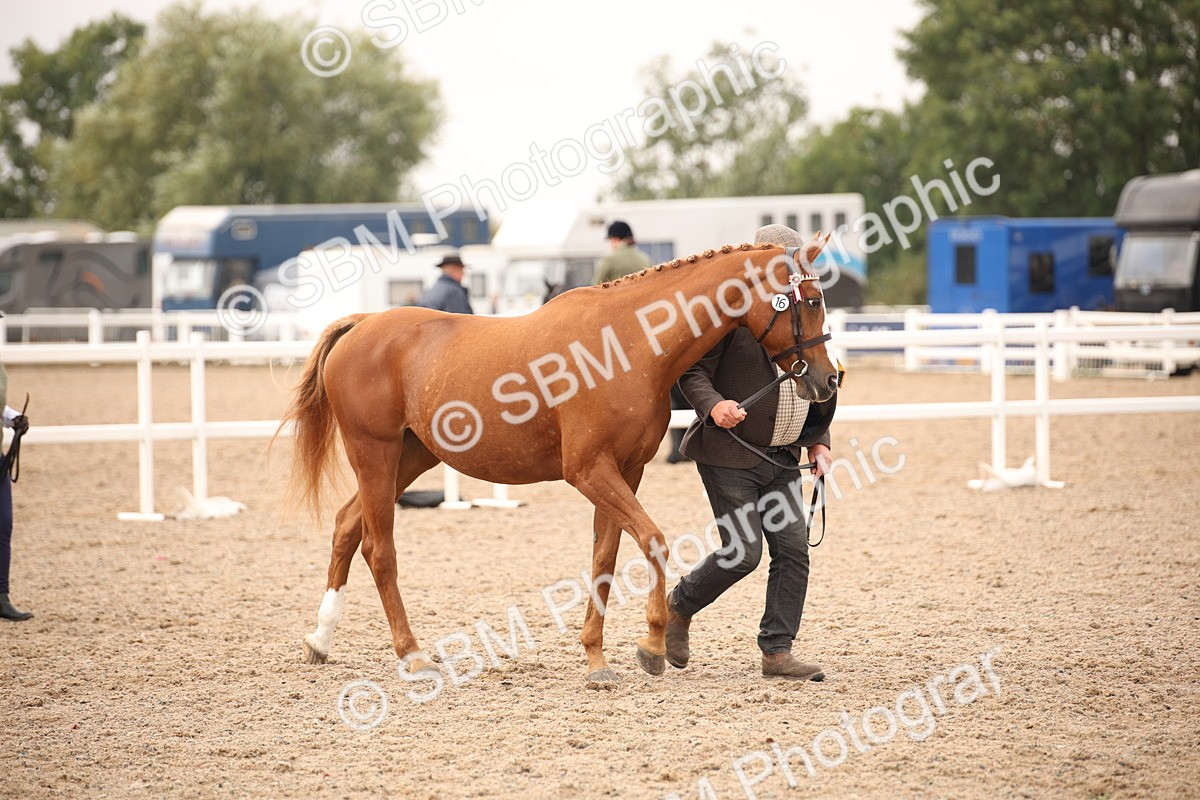 SBM_22093 - Class 707 - Ridden Groom-Helpers Class