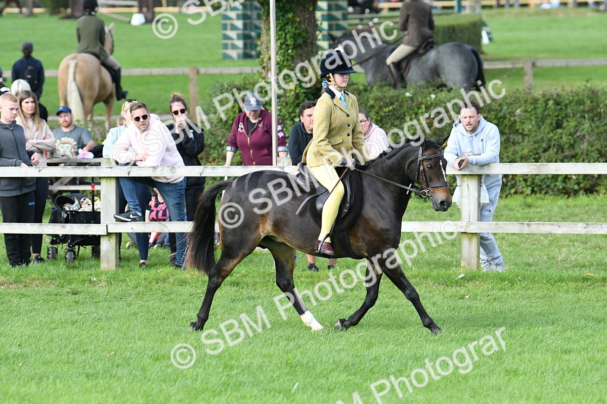 SBM_51815 - S21 - Novice & Newcomers 1st Ridden Pony