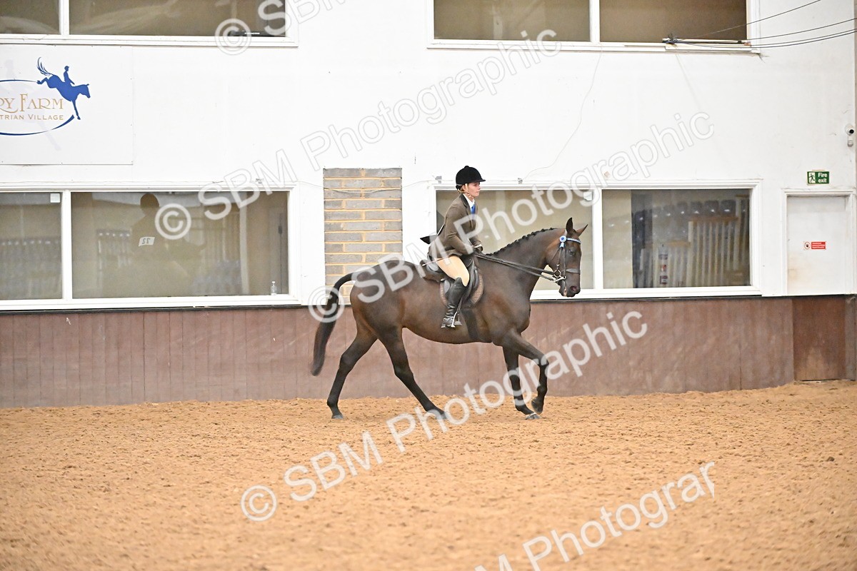 SBM_002379 - Class 22 - BSHA Ridden Hack & Riding Horse