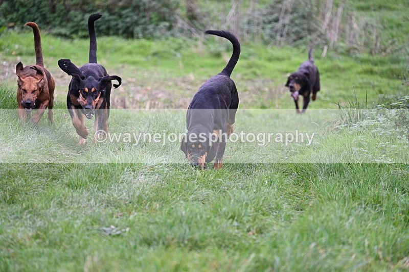 WJ7_8895 - Camera 1 only on this line