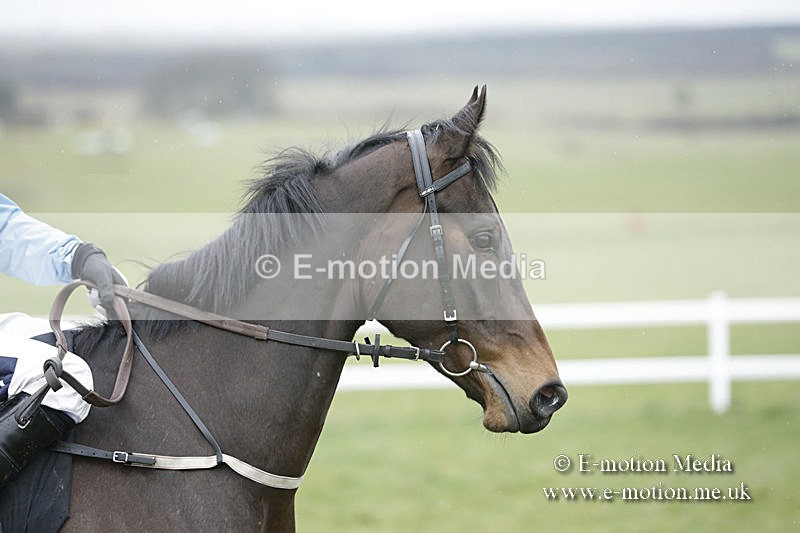 PtP 150320 0266 - New Forest Point-to-Point Larkhill 15/03/20