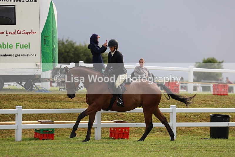 3E7A8090 - Class 2: Rising Star Large Hack/Riding Horse