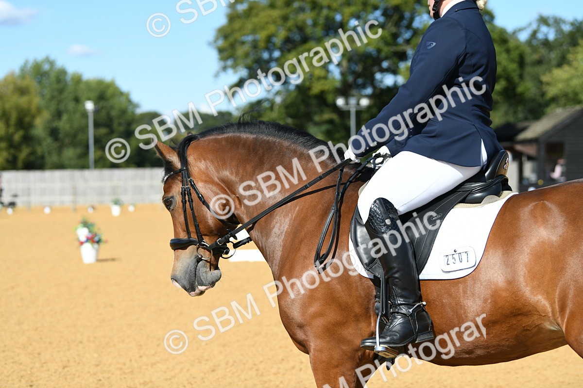 SBM_25012 - D13 - Grand Tour Championship - Prelim 12