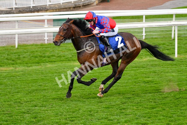 yr14052021r6-16 - Race 6 4.15pm Yorkshire Equine Practice Stakes