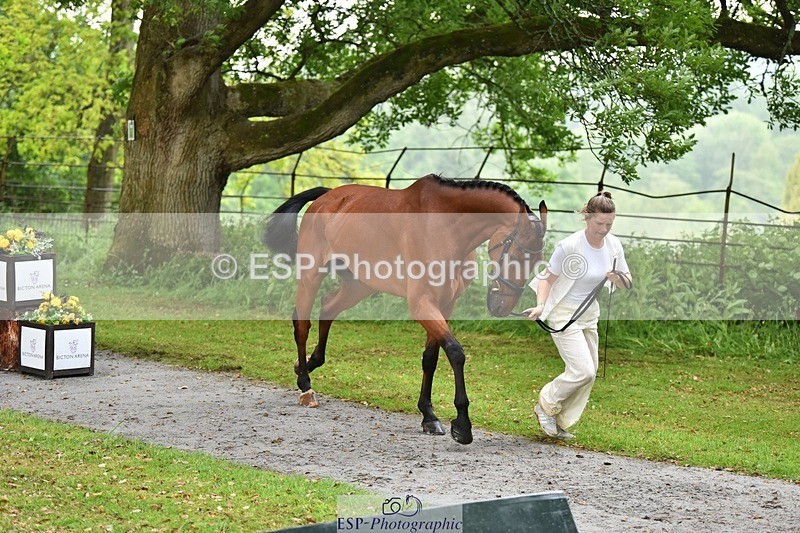 240522-161136-00769 - 158-MY_EASTWOOD_BRIGHTSIDE-Darcy_Zander