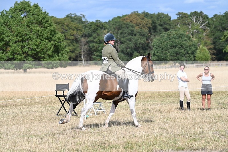 WJ7_7430 - Class 14 Ridden Coloured