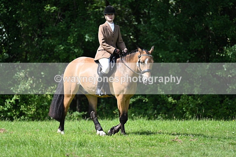 WJ7_1000 - Class 11 Condition & Turnout