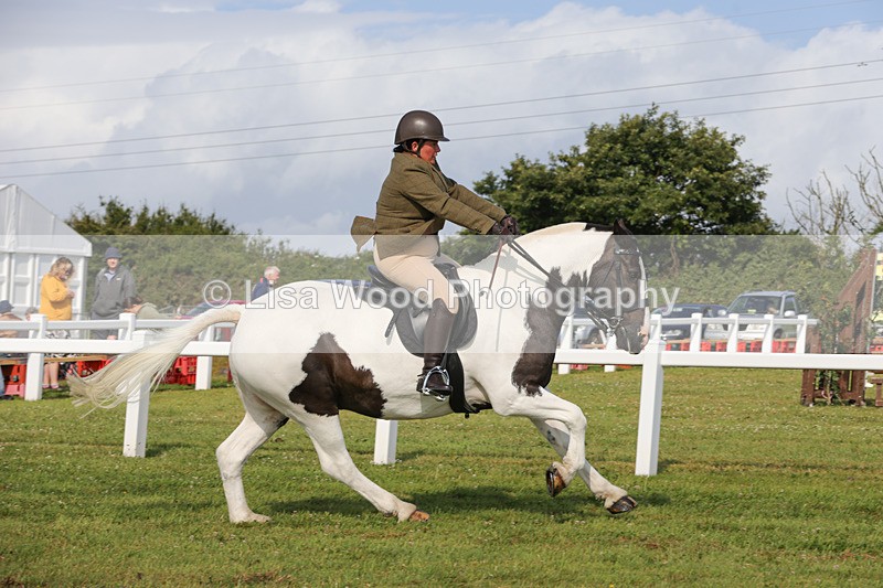 1X9A3333 - Class 28: Ridden Native/Trad Coloured Pony