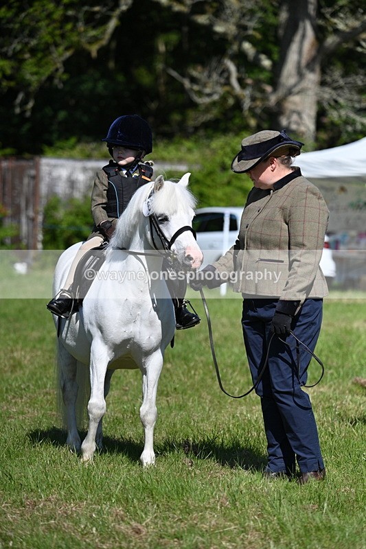 WJ7_0383 - Class 8 First Rally Pony