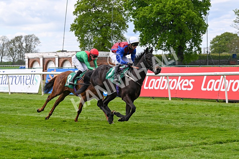 030525-Race 2-Under The Radar-2601 - Race 2