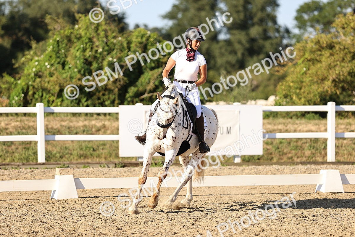 SBM_007813 - Elementary 4 - 17.07-18.22
