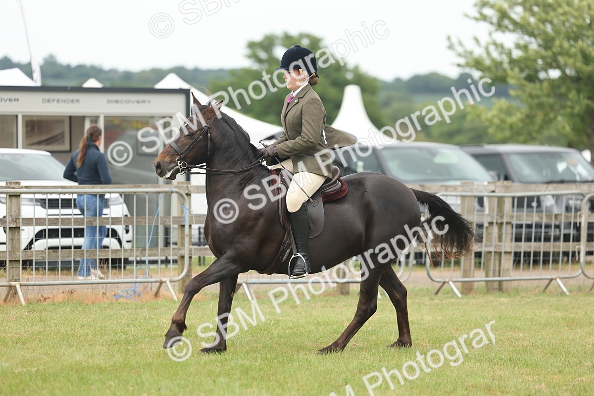 SBM_09084 - Class 78-80 - Ridden M&M Non Welsh Ponies