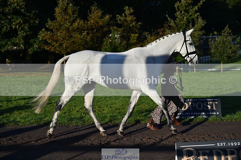 231022-090416-21544 - 616-HER.NAME.IS.LOLA-Emma.Farrar-TrotUp+SJ