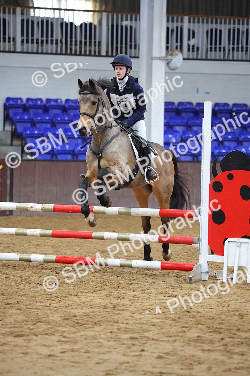 SBM_001934 - Class 5 - Show Jumping 80cm