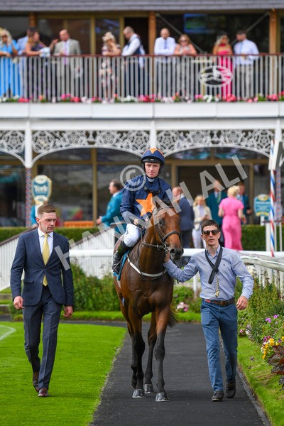 290723-Race 4-Blue Prince-0703 - Race 4 4.00pm 50K ITV7 Weekly Jackpot Nursery Handicap