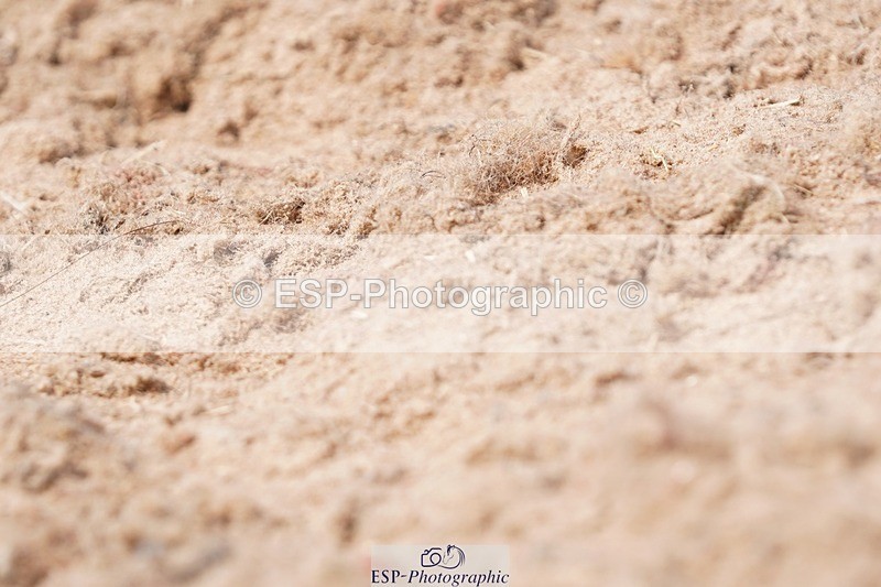 250621-144234-09509 - UnA Cls 3-4, Prelim 1+2