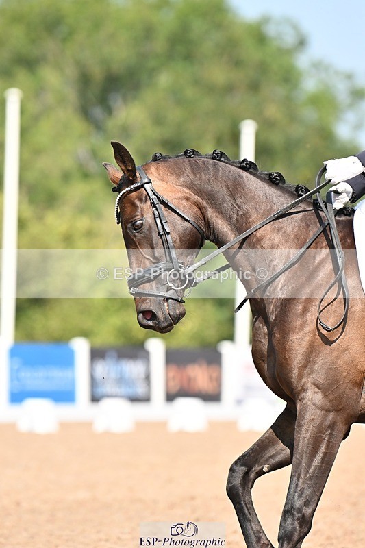 250816-121041-04171 - 101-Zofia.MatyjasikHis.Royal.Finest