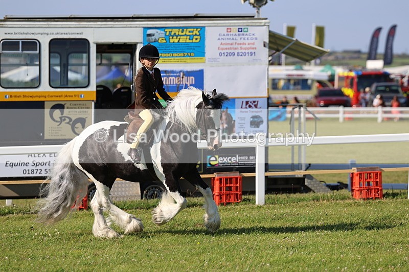 IMG_1502 - Class 30: Ridden Native/Trad Coloured Pony