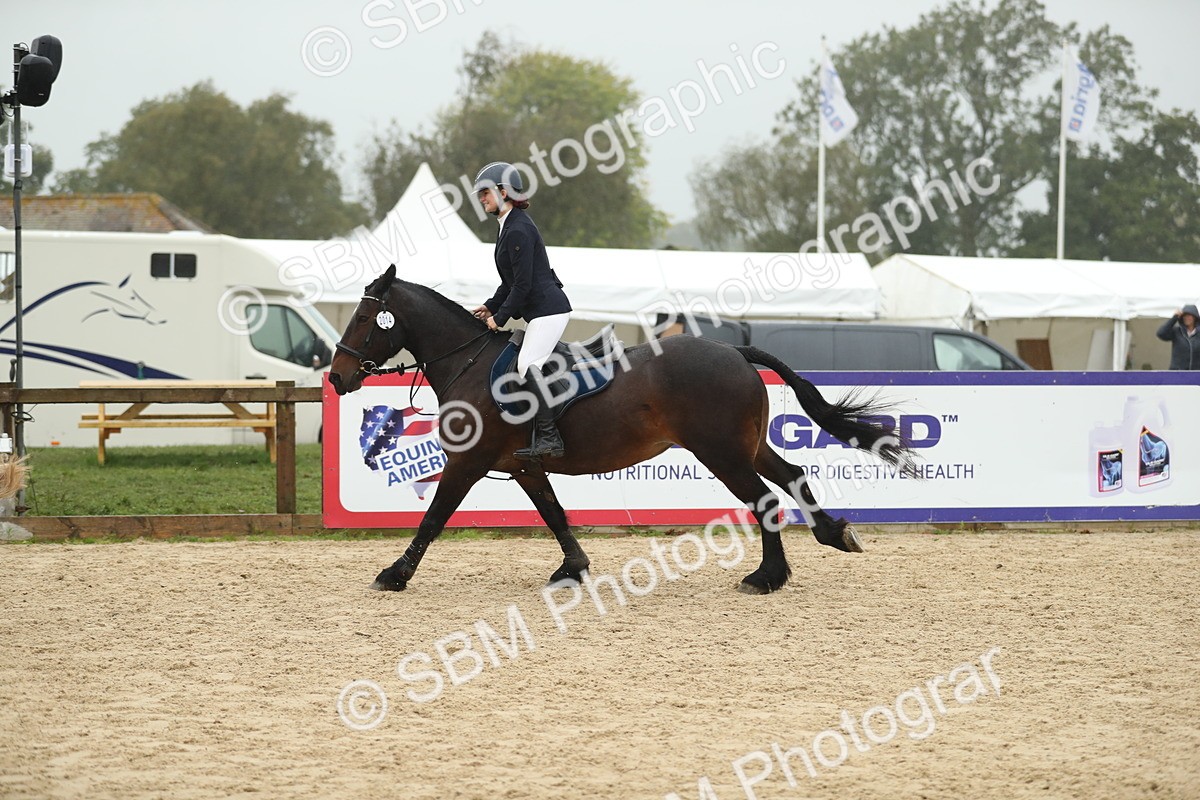 SBM_74157 - J16 - Junior Pony 75cm Championship