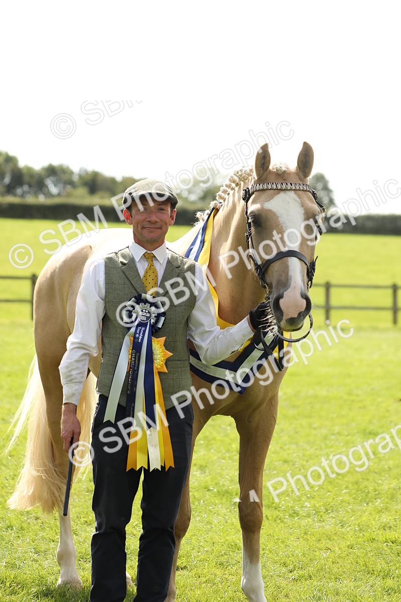 SBM_66346 - In Hand Pony & Youngstock Supreme Championship